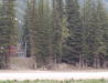 0064-Rogers_Pass.png